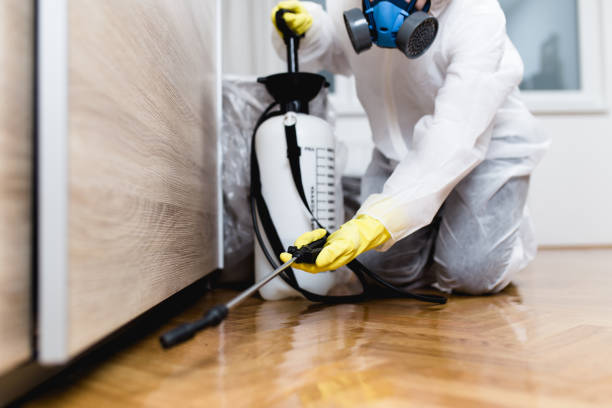 Best Insect Control  in Pineland, TX