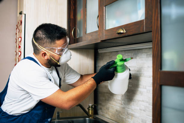 Pest Control Cost in Pineland, TX
