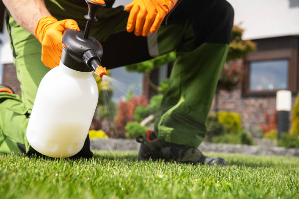 Best Best Pest Control Companies  in Pineland, TX